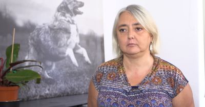 Rośnie liczba bezdomnych zwierząt w Polsce i związane z nimi wydatki. Potrzebne wprowadzenie kontroli środków przeznaczanych na schroniska